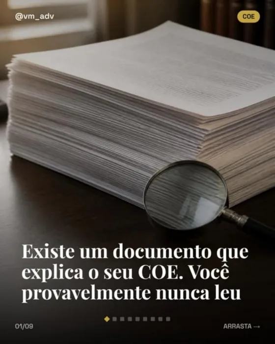Existe um documento que explica o seu COE. Você provavelmente nunca leu — publicação de @vm_adv no Instagram