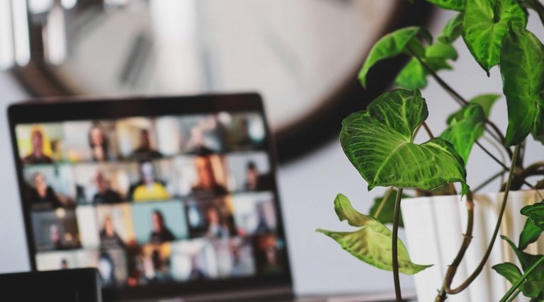 Advogado em Santa Catarina: notebook exibindo videoconferência com múltiplos participantes, planta verde em primeiro plano